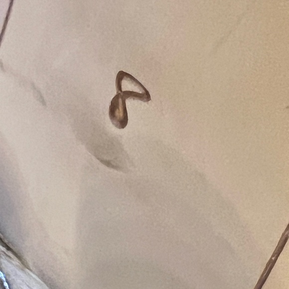 SAM EDELMAN Women's Tan Woven Sandals - Picture 5 of 5